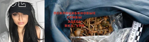 гашик Балахна